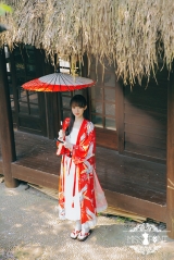 Miss Point Crane Printed Lolita Red Haori Kimono Long Version